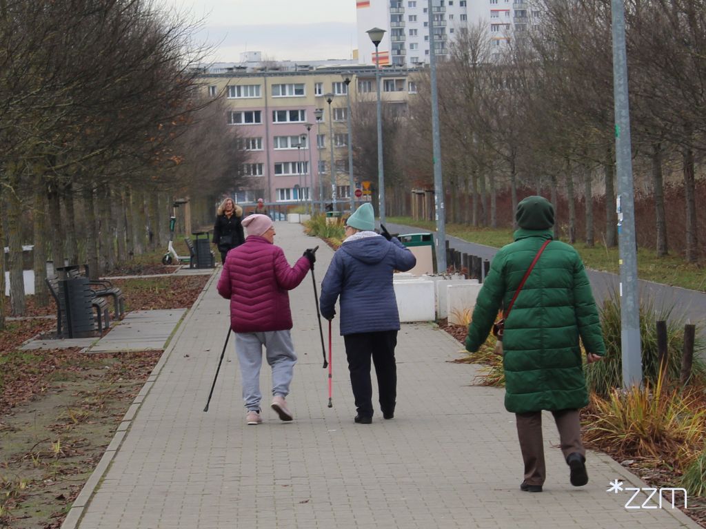 Panie spacerujące z kijkami po Parku Rataje