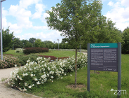 Park Bambrów Poznańskich - zielone miejsce dla każdego