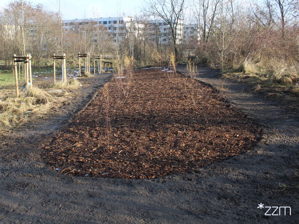 Park Edukacji Ekologicznej