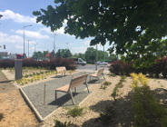 Park Jednego Drzewa
