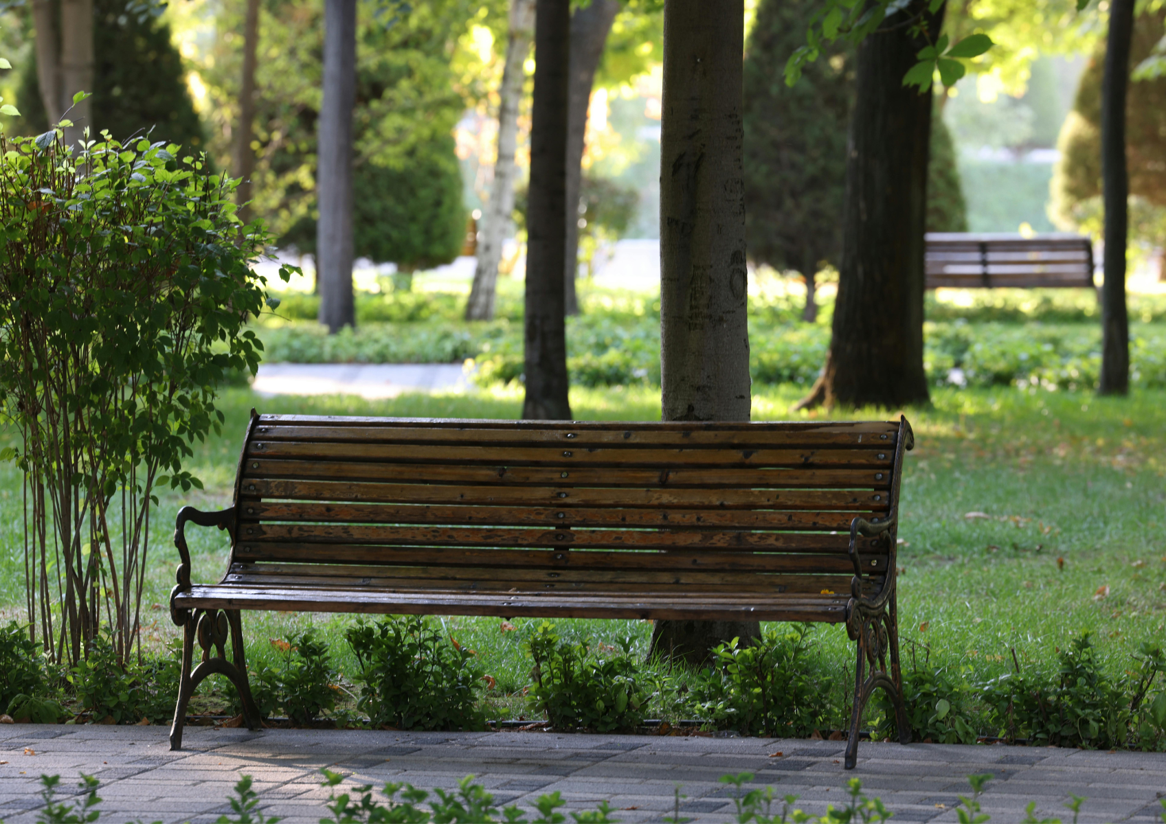 Park, na pierwszym planie jest brązowa ławka, w tle drzewa, chodniki i inna ławka