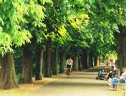 Park premiera