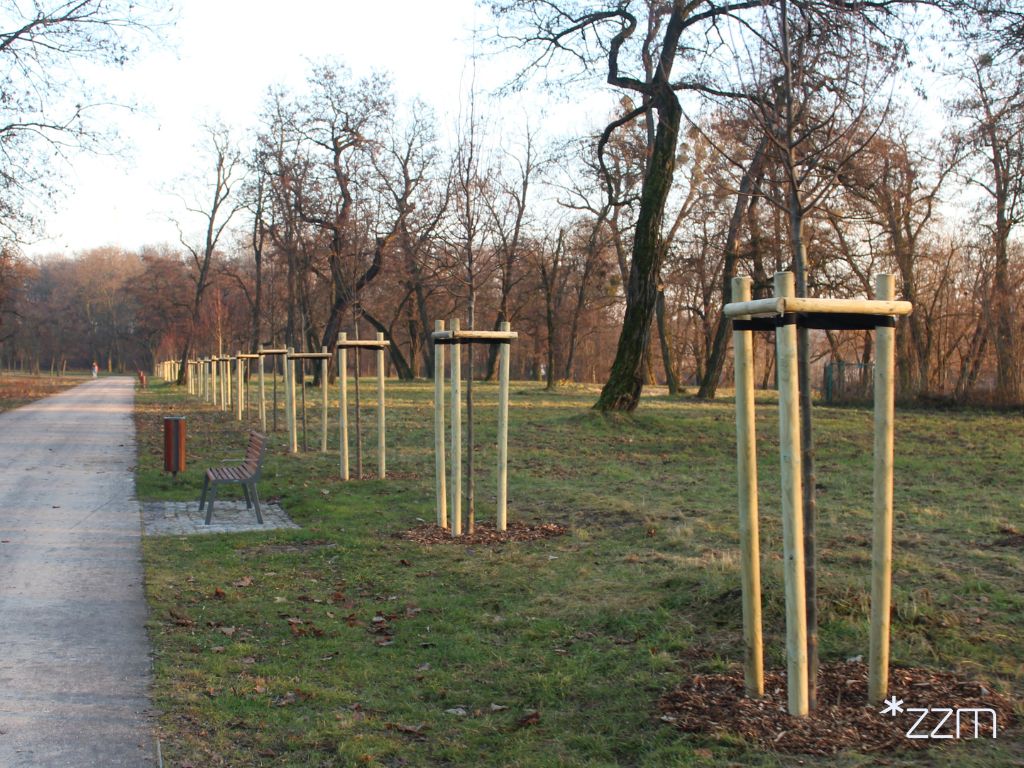 Park Tysiąclecia