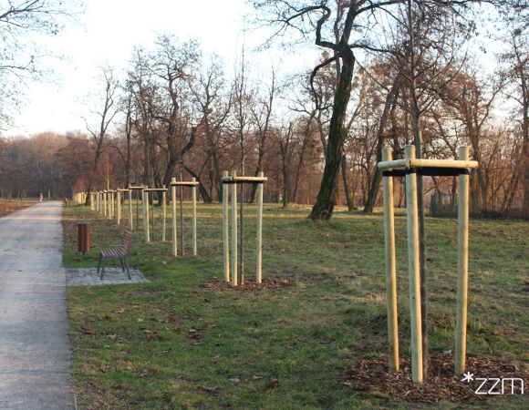 Park Tysiąclecia