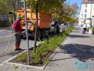 Pielęgnacja zieleni