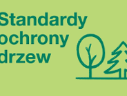 Pierwsze szkolenie poświęcone Standardom ochrony drzew w Poznaniu za nami