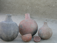 Piwo w Muzeum