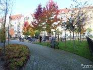 Plac Asnyka po renowacji