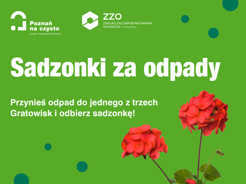 plakat przedstawiający tekst i kwiaty