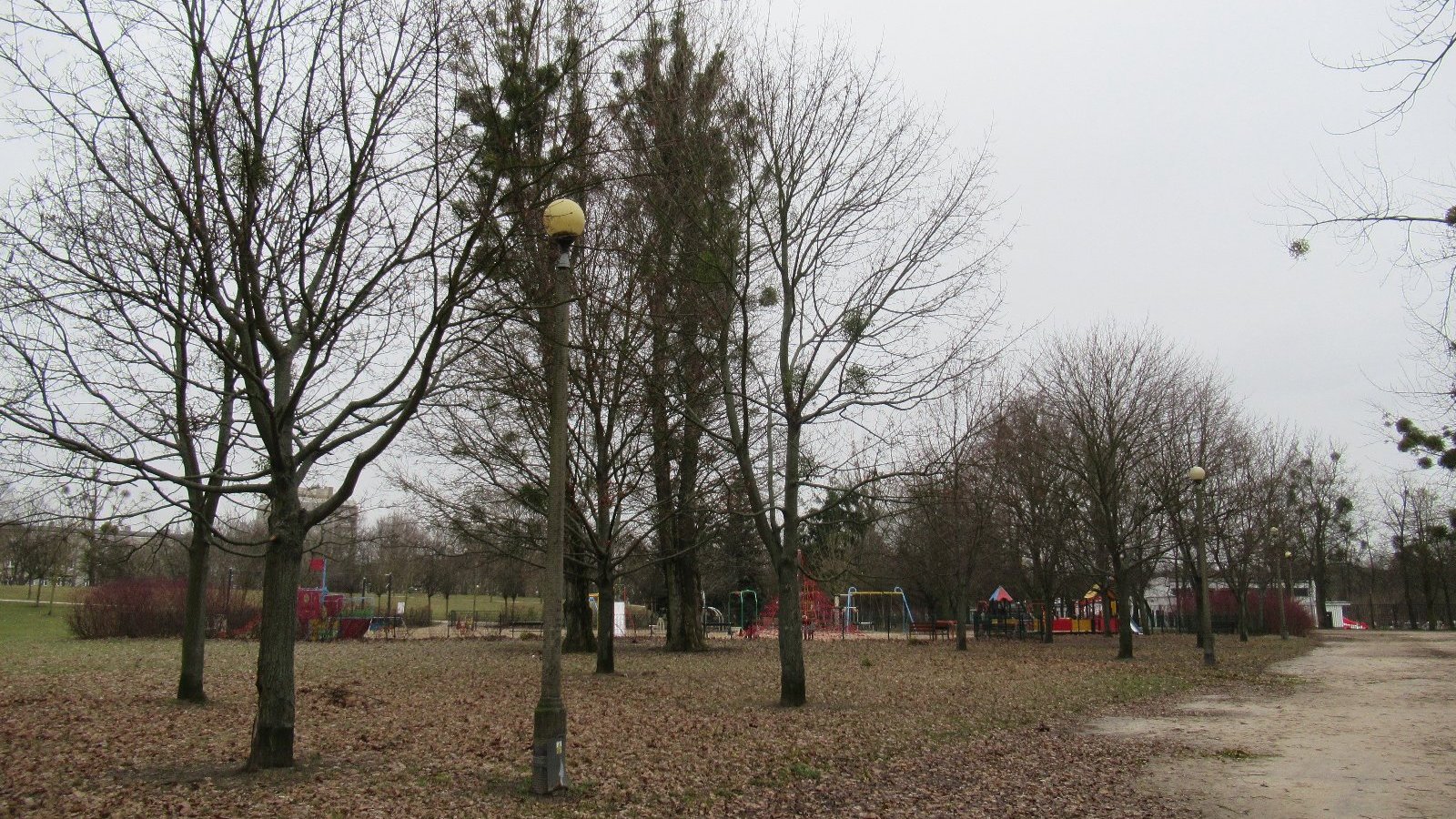 Zdjęcie przedstawia drzewa i plac zabaw w parku.