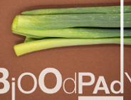 Podpowiadamy, co zrobić z nadmiarem bioodpadów