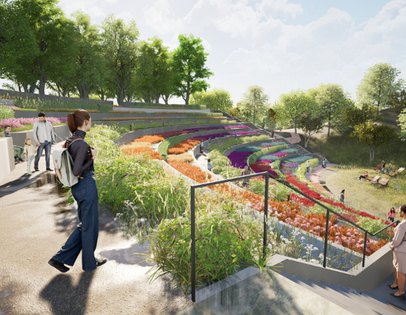 Poglądowa wizualizacja ogrodu miododajnego na Cytadeli