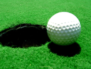 Pole golfowe w Krzyżownikach?