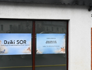 Pomoc dla dzikich zwierząt