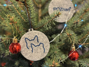 Pomóżmy zwierzakom ze schroniska i kotom wolno żyjącym