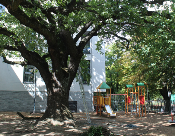 Poprawiamy koronę "Krzysztofowi"