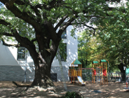 Poprawiamy koronę "Krzysztofowi"