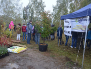 Powstaje nowy park nad Jeziorem Kierskim