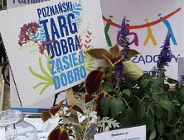 Poznań współpracuje z organizacjami pozarządowymi