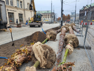 Program Centrum - sadzenie drzew na al. Marcinkowskiego