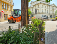 Program Centrum zmienia kolejne ulice. Na ul. 3 Maja i Ratajczaka przybyło zieleni