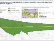 Projekt planu miejscowego dla Radojewa