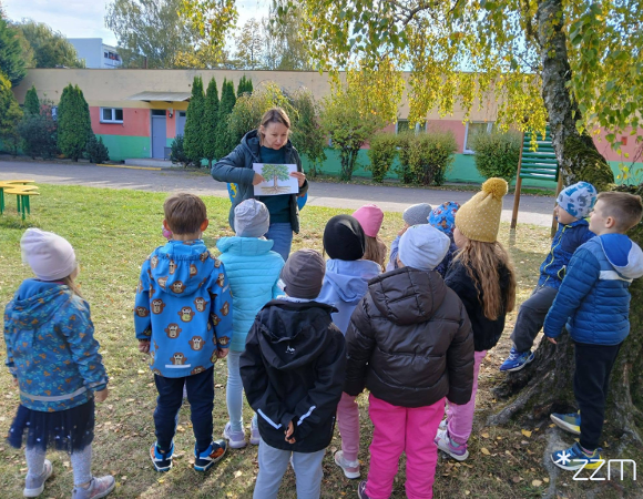 Prowadząca pokazuje przedszkolakom ilustrację drzewa z korzeniami. Dzieci stoją wokół niej w ogrodzie przedszkolnym.