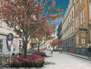 Przebudowa ulicy Kwiatowej w centrum Poznania