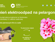 Przynieś zużyty sprzęt elektryczny lub elektroniczny i odbierz pelargonię