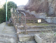 Radni chcą ratować Stare ZOO