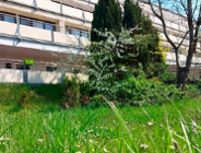 Rekrutacja na stanowisko: dyrektora Domu Pomocy Społecznej przy ul. Ugory