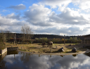 Rewolucja w zoo