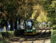 Roboty na ul. Dąbrowskiego w ramach gwarancji