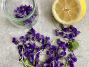 Skorzystaj z darów natury!