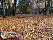 Skwer Wierzejewskich zyska nowy wygląd