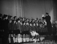 Słowiki w Ameryce - nowa kolekcja na CYRYL-u