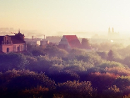 Smog - ocena i propozycje