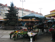 Śródmiejskie place