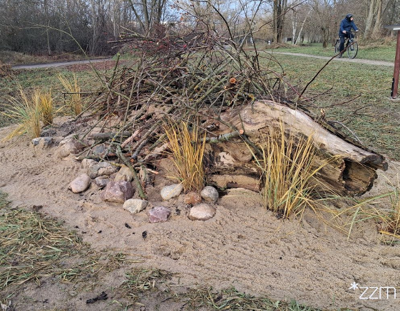 Stanowiska dla jaszczurek w Parku Edukacji Ekologicznej na Strzeszynie