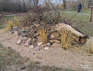 Strzeszyn przyjazny gadom - powstały domy dla jaszczurek