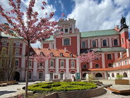 Stypendia dla poznańskiego środowiska kulturalnego