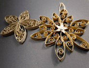 Świąteczne ozdoby wśród palm i drzew cytrusowych. Zapraszamy do Palmiarni Poznańskiej już 10 grudnia!