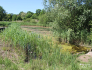 Światowy Dzień Mokradeł