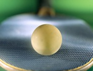 Światowy ping pong w Poznaniu