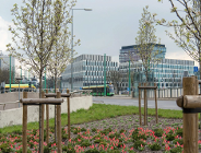 Święta wielkanocne - funkcjonowanie komunikacji publicznej