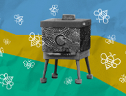 Święto Pszczół na Wolnym Dziedzińcu