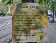 Szanować drzewa i głos mieszkańców