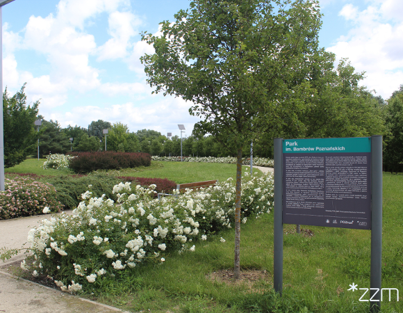 Tablica informacyjna z napisem "Park im. Bambrów Poznańskich" ustawiona przy alejce. Wokół rosną białe róże, krzewy i drzewa.