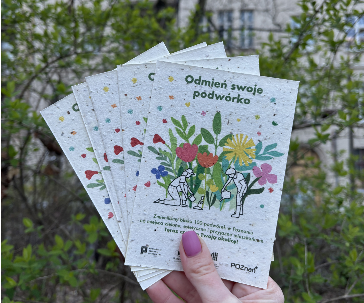 Trzeymane w ręce ulotki z nasionami łąki kwietnej - Odmień swoje podówórko