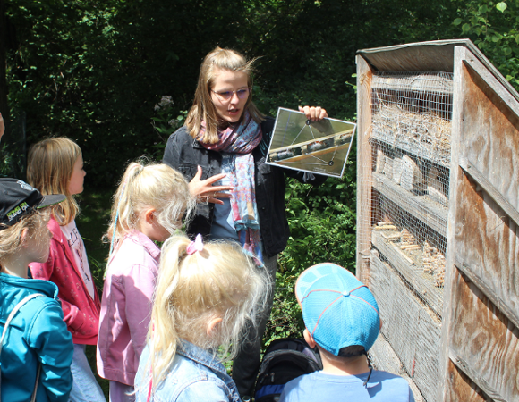 Uczestnicy zajęć mogą odkryć faunę i florę parków